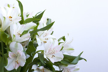 a beautiful white flowers bouquet in nature.