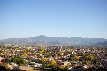 primaveras amarillas en autlan de navarro jalisco
