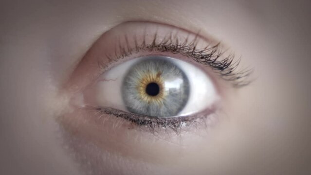 Close up of a woman's grey eye opening widely in slow motion. Shallow depth of field. 