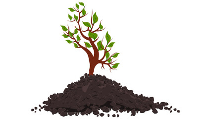 Small shoot of tree with green leaves in pile of soil isolated on white. Design element.