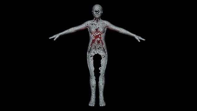 Programmable matter forming body of human. Claytronics , catoms. Cluster of spheres morphing transforming into woman.Nanospheres , nanorobots organize into nanosuit.3d render illustration. VIew 3