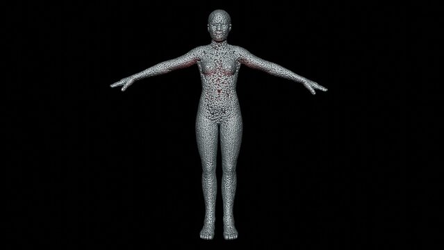 Programmable matter forming body of human. Claytronics , catoms. Cluster of spheres morphing transforming into woman.Nanospheres , nanorobots organize into nanosuit.3d render illustration. VIew 4