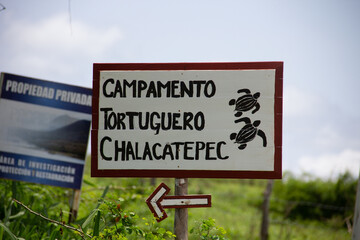 campamento tortuguero chalacatepec, jalisco mexico - obrazy, fototapety, plakaty