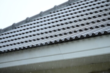 roof of house resident, construction industry