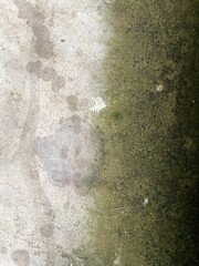 soft white stone Rough mountain surface with green moss. Close-up. Beige stone background. Space for design. Web banners. Wide. Panorama. Sandstone. Solid slate.