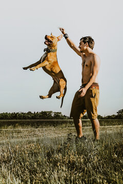 Man teaching dog to jump