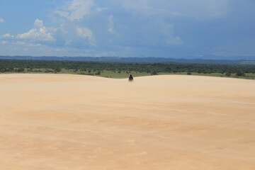 Fototapeta na wymiar Person in the distance on the sand hills in Santa Cruz de la Sierra Bolivia