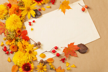 Naklejka na ściany i meble autumn flowers and leaves on paper background