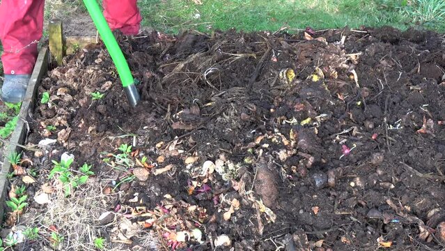Gardener digging compost in wooden box