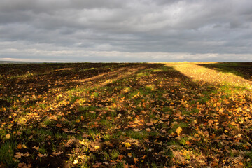 Autumn landscape with a plowed field and stormy dramatic sky. Clouds over the field