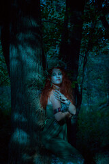 Queen of the forest