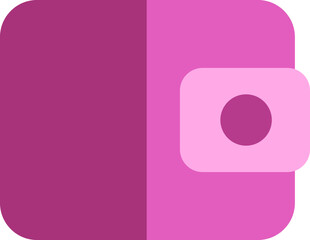 Banking wallet, illustration, vector on a white background.