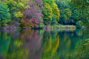autumn river reflections