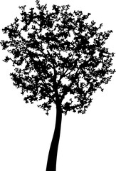 Tree silhouettes for landscape design. PNG illustration.