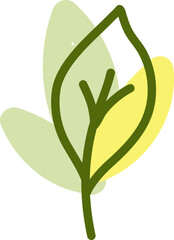 Green spring leaf, illustration, vector on a white background.