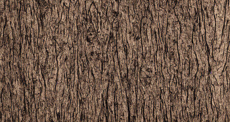 Obraz premium sawn wood structure, close-up, drawing of a cut of a tree,