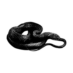 Eastern Indigo Snake hand drawing vector illustration isolated on background