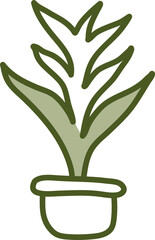 Asparagus fern, illustration, vector on a white background.