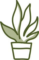 Spider plant, illustration, vector on a white background.