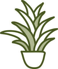 Dracaena plant in pot, illustration, vector on a white background.