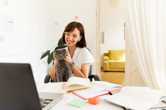 Positive young caucasian woman playing with cat in front of laptop at home office. Brunette wears glasses and blouse. Leisure concept