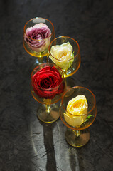 Fototapete bei efototapeten.de bestellen   