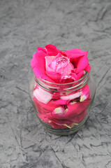 pink rose in water