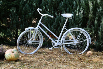 Stylowy stary rower stoi jako ozdoba w mieście.