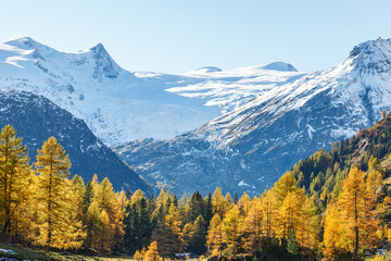 Alp valley with snow capped mountains and autumn colors