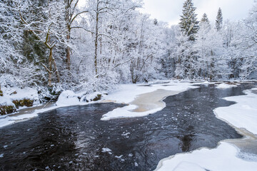 River flowing through a wintry forest