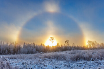 Cold winter day with a sun halo and sun dogs - obrazy, fototapety, plakaty