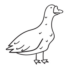 Goose outline icon. Hand drawn illustration on white background.