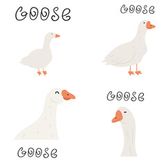 Gooses. Set of flat vector illustrations on white background.