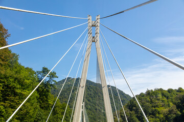 Supports and cables of a large bridge