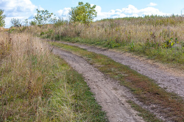 Dirt road in nature in summer.