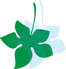 Leaves isolated vector illustration for decor