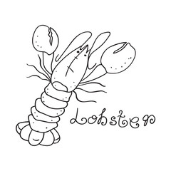 Lobster. Outline illustration. Vector icon on white background.