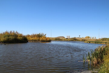 September In The Wetlands