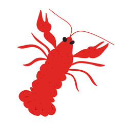Crayfish. Hand drawn flat vector illustration on white background.