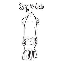 Squid. Vector outline hand drawn illustration.