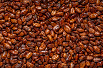 Cocoa beans on wooden plate, Aromatic, Roasted Cocoa beans in wooden background.