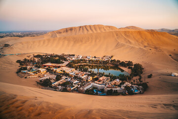 oasis