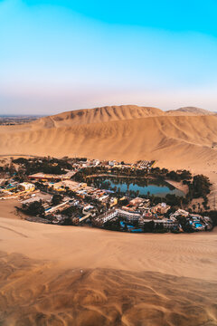 oasis