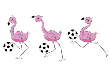 Cute flamingo with ball. Pink  funny bird.