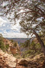 Fotografia Aerea del Grand Canyon in Arizona