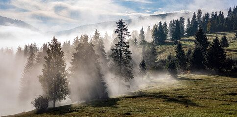 Fog divided by sun rays. Misty morning view in wet mountain area.  - 535423090