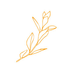 leaves and flowers wedding card ornament png file