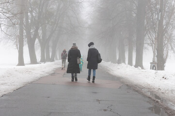 Fototapeta na wymiar People walking in the foggy alley in the middle of trees at Holosiivskyi National Nature Park, Kyiv, Ukraine