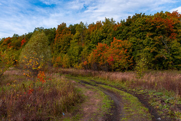 Walking through the autumn forest in Samarskaya Luka National Park!