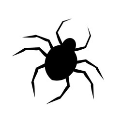 spider and web icon